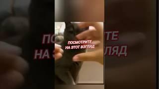Взгляд профи...