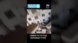 ПИШГАН ХОМ ГИШТ НАРХЛАР ‼️ ИЛТИМОС КАНАЛГА ОБУНА БУЛИНГЛАР