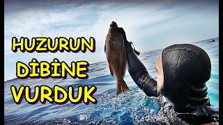 Harika Bir Koy, Mükemmel Bir Huzur, Bir Sürü Balık | Yakala-Pişir - Balık, Yemek, Huzur, Kamp, Deniz