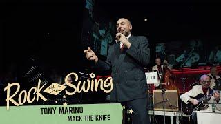 RTSF 2024 - Jamboree Revue - Mack The Knife by Tony Marino