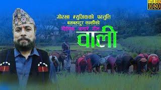 मौलिक असारे  वाली गीत | Bom Bahadur Karki | Tara Thapa | Yukta Gurung | Sunita Subba |