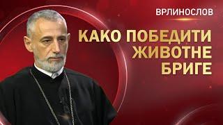 Врлинослов - Како победити животне бриге, протојереј-ставрофор проф. др Владимир Ступар