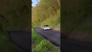 Rally Due Valli PURE SOUND #skodafabiar5 #rally #rallycar #renault