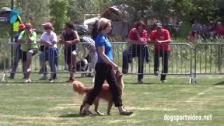 FCI World Championship Obedience 2017