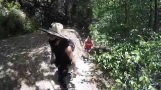 SANTA PAULA PUNCH BOWL