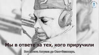 "Мы в ответе за тех, кого приручили"