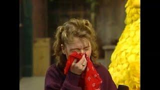 Charakters from the TV-Show "Sesame Street" sneeze, cry and blow their noses