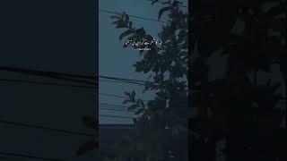 Lost in problems #shortsfeed #thehayyatestic #shortfeeds #shortsvideo #aesthetic #trending
