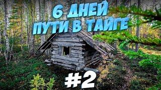 6 DAYS IN THE WILD TAIGA. survival.