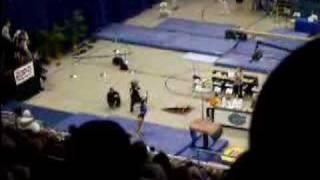 UF vs. UGA Gymnastics 2008 - Vault - Ashley Reed