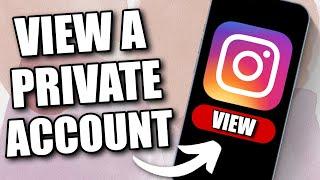 How to See Private Account Posts on Instagram Without Following (2024)