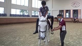 Future Riders School Training - Indoor Arena