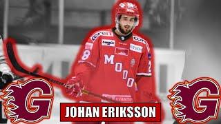 Guildford Flames Sign Johan Eriksson