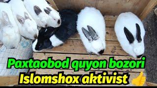 Andijon Paxtaobod Quyon bozori 2024 (Islomshox aktivist)