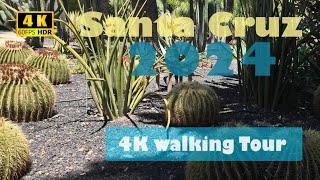 Beautiful City Park, Santa Cruz, Tenerife     #4k #cactus #nature #adventure #travel  #tour