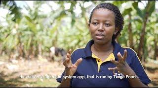 GSMA Ecosystem Accelerator Innovation Fund: Twiga Foods