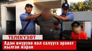 Адам өмүрүнө кол салууга аракет кылган жаран