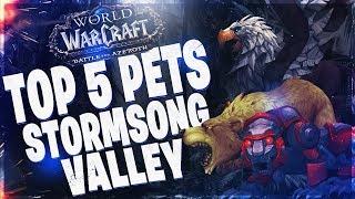 TOP 5 "RARE" HUNTER PETS IN STORMSONG VALLEY!! BATTLE FOR AZEROTH 8 0