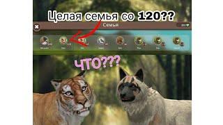 WildCraft | туториал на полную семью без 170 уровня!