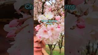 you don't want to miss the blooms