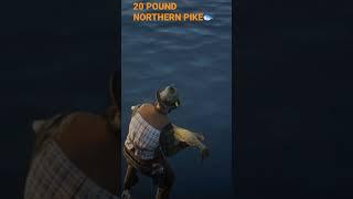 Caught a Monster Northern Pike#reddeadonline #gaming #fishing #shorts #wahran