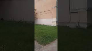 улица Куйбышева