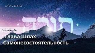 Недельная глава Шлах. Самонесостоятельность. Бемидбар 14:1-45