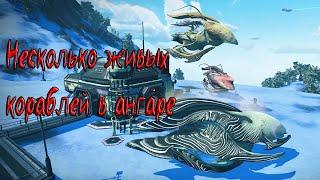 Как получить несколько живых кораблей / No Man's Sky гайды / Уникальный живой корабль /Живые корабли