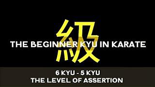 THE BEGINNER KYU IN KARATE |  6 - 5 KYU  |  KYOKUSHIN VLOG-26