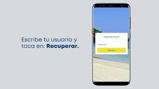 Utiliza BP en Línea App para reiniciar tu contraseña