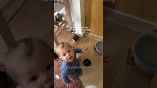 It's always the dog water bowl Happy Babies Kidz View  #happybabieskidzview
