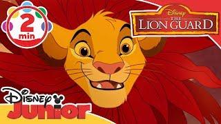 The Lion Guard | I Do Have a Great Deal To Say Song | Disney Junior UK