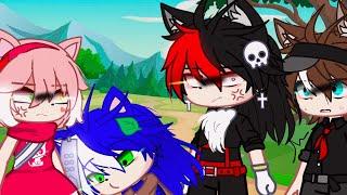 Stop looking he/she meme ||Gacha club|| amy x sonic x shadow