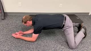 Frog Stretch for hip mobility