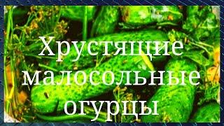 Хрустящие малосольные огурцы. Очень просто, быстро и вкусно. GoodAppetite.