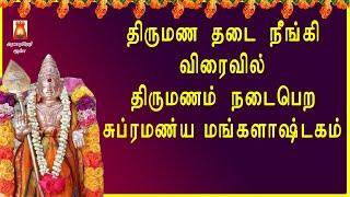 திருமண தடை நீங்கி விரைவில் திருமணம் நடைபெற சொல்லவேண்டிய மந்திரம் | SRI SUBRAMANYA MANGALASHTAKAM |