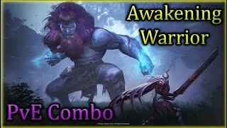 Black Desert Awakening Warrior Infinite PvE Combo | BDO Guide Combo & Addons