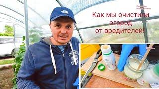 Одна обработка огорода от, практически, всех вредителей!!