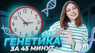 Вся теория по генетике за 45 минут | Биология ЕГЭ для 10 класса | Умскул