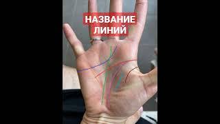 Урок хиромантии #palmistry #хиромантия #shorts #short