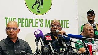 MK party, Jacob Zuma to battle his removal from the national assembly via international legal steps