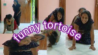 funny tortoise  challenge ll funny video 