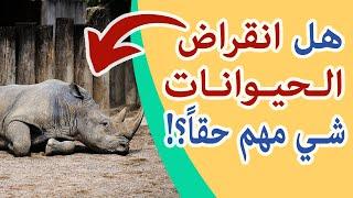لماذا يهتم العالم بحماية الحيوانات من الإنقراض ؟