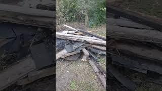 Thank You For Cleaning Our Yard Part 1 #cleaning #yardcleaning #shorts