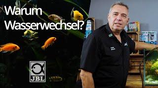 JBL TV #66 Wasserwechsel im Aquarium - Tipps & Tricks und der Vergleich mit der Natur