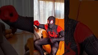 *SPIDER-MAN SAVES A PARROT FROM BAD GUY SPIDERMAN #shorts SuperheroTV