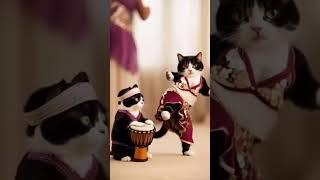Котики барабанщики котики танцуют #кот #котики #музыка #барабанщик #танцы #котята  #денс #котик