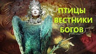 ПТИЦЫ В МАГИИ-ВЕСТНИКИ БОГОВ