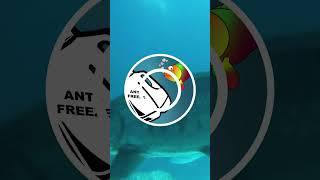 Antifreeze proteins prevent fish from freezing #science #biology #fish #cmi