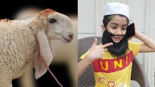 Bakra Qurbani 2022